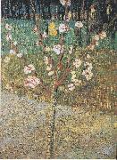 Vincent Van Gogh Flowering almond tree Germany oil painting artist